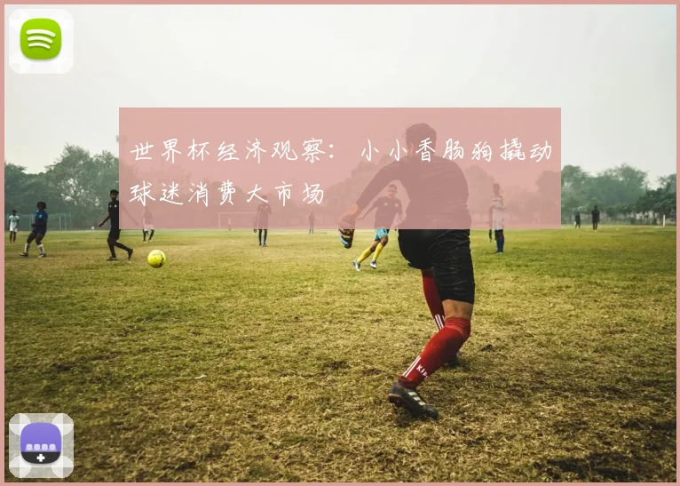 世界杯经济观察：小小香肠狗撬动球迷消费大市场