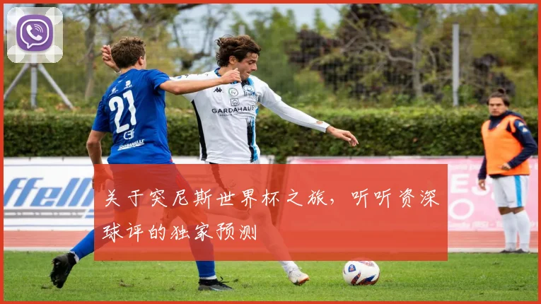 关于突尼斯世界杯之旅，听听资深球评的独家预测