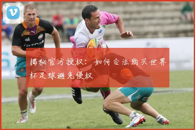 揭秘官方授权:如何合法购买世界杯足球避免侵权
