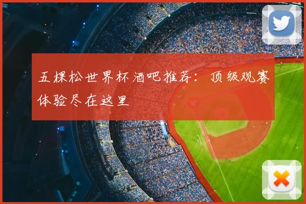 五棵松世界杯酒吧推荐:顶级观赛体验尽在这里