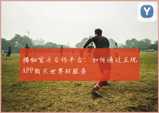 揭秘官方合作平台:如何通过正规APP购买世界杯服务