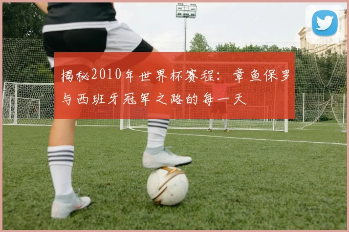 揭秘2010年世界杯赛程：章鱼保罗与西班牙冠军之路的每一天