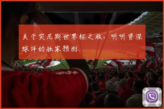 关于突尼斯世界杯之旅，听听资深球评的独家预测