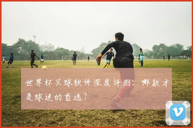 世界杯买球软件深度评测:哪款才是球迷的首选?