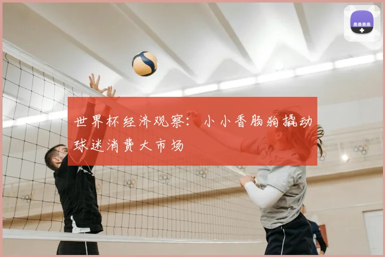 世界杯经济观察：小小香肠狗撬动球迷消费大市场