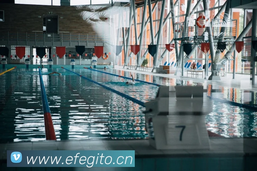 开云kaiyun官方入口平台生态图