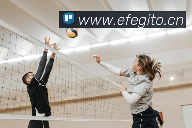 开云kaiyun官方入口APP 封面图